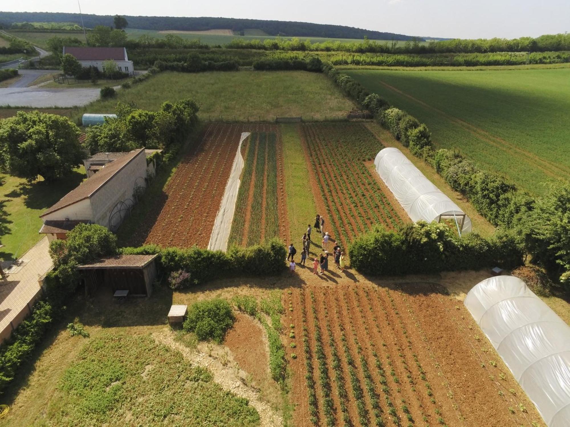 Le Concept-Studio Perrigny-sur-Armançon Exterior foto